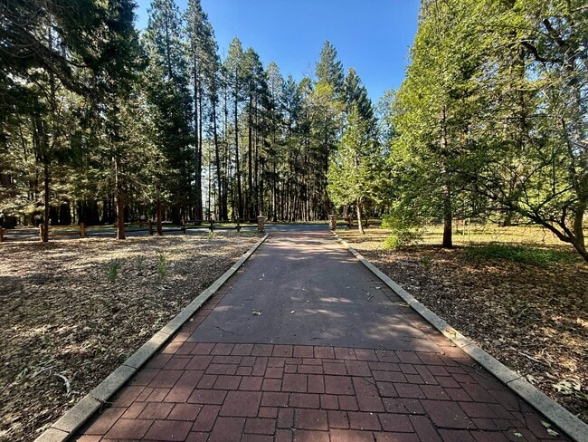 Photo - 13240 Loma Rica Dr