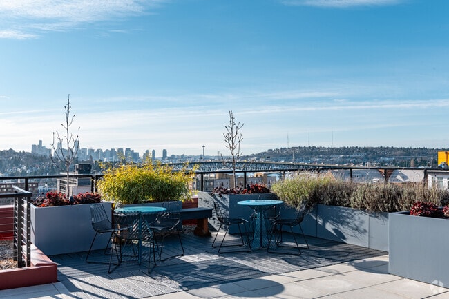 Rooftop Deck