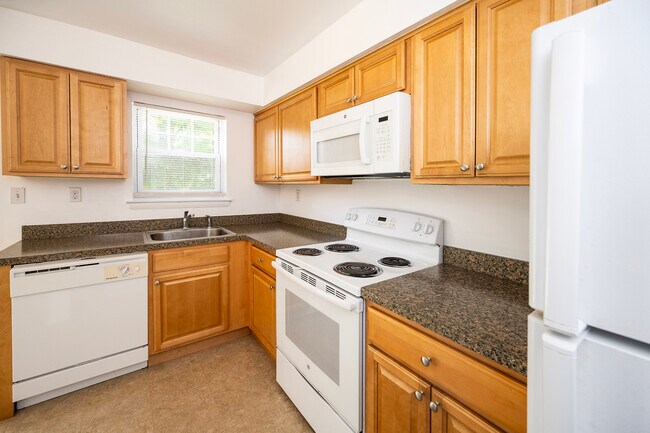 Kitchen - 4.5 Room, 2 Bed, 1 Bath