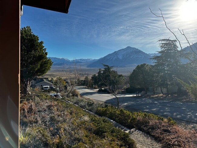 Photo - Views from Paradise!