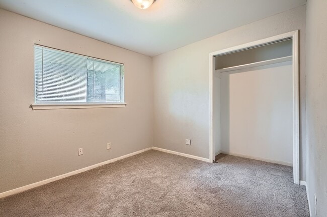 Photo - 3415 Bristlecone Trail