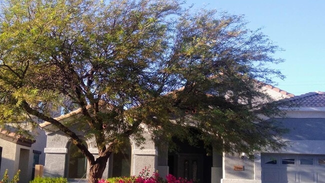 Building Photo - 24744 W Illini St