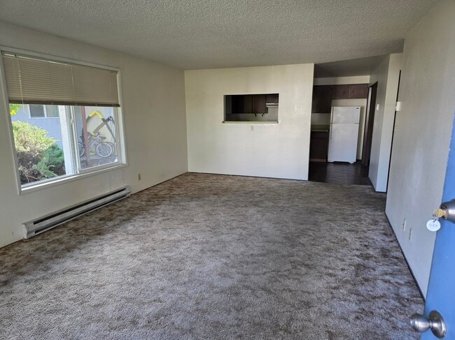 Photo - 1157 Picture St