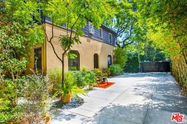 Open air sunshine with bamboo greenery privacy. - 155 South Westmoreland Avenue