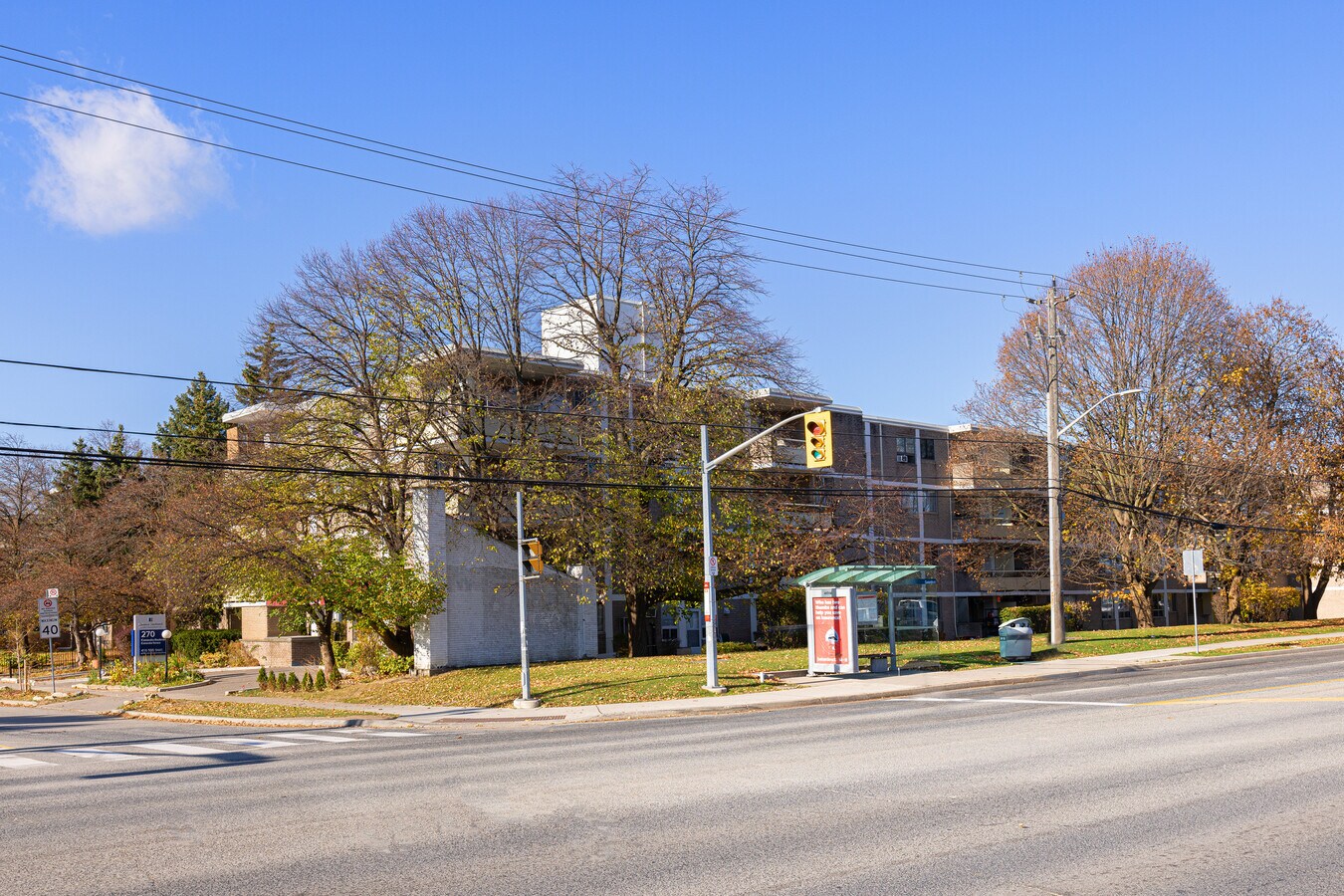 Photo - Cassandra Terrace