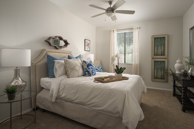 Large bedroom with large walk-in closets at Trevi Apartment Homes