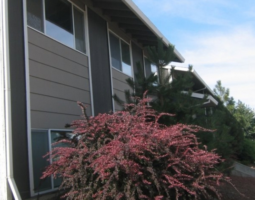 The Green Tree Apartments - The Green Tree Apartments