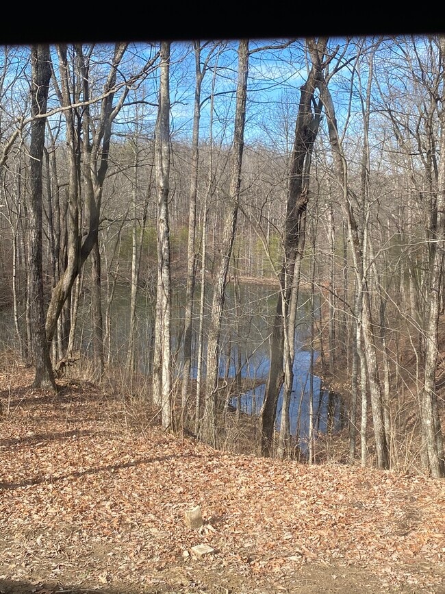 Photo - 178 High Rock Ct