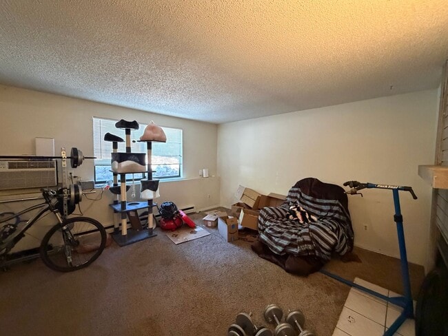Photo - Spacious 2-Bedroom Condo Near CSU