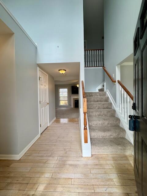 Photo - 11328 Sheffield Ln