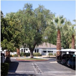Photo - San Jacinto Manor