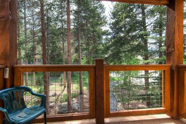 View - 700 Snowberry Ln