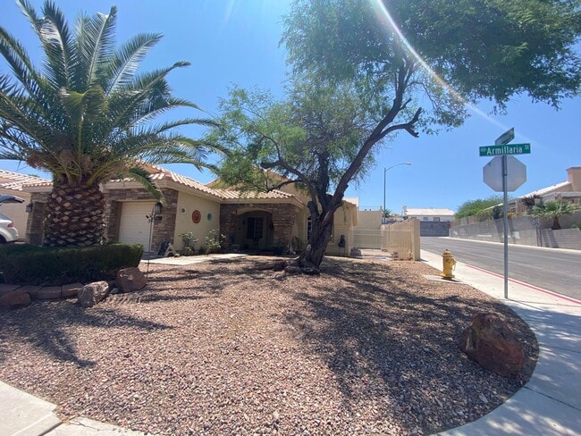 Photo - Henderson Cutie