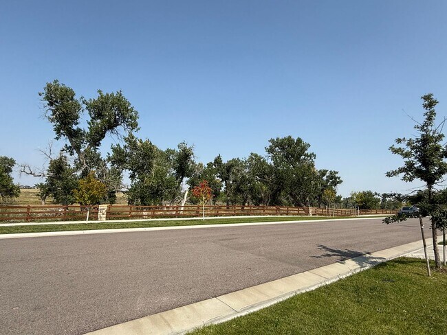 Photo - Stunning New Build in Aurora with Sleek Fi...