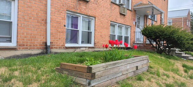 Terraced Landscape with Seasonal Flowers - 385 Stuyvesant Ave Apartments Unit 1