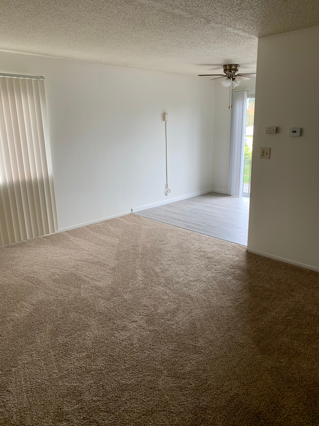 Photo - 906 Channing Way