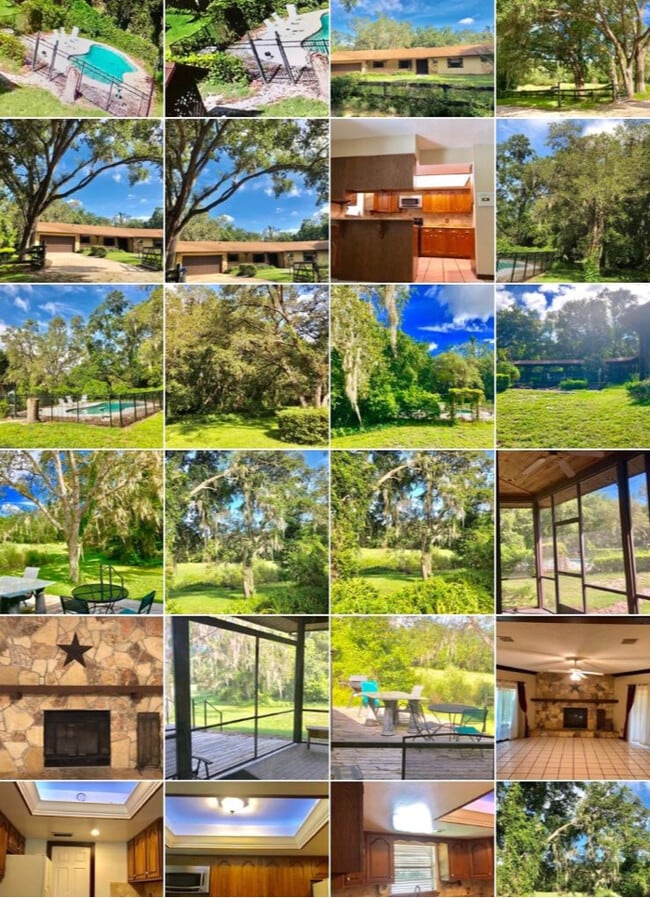 Photo - 4807 Shetland Trail