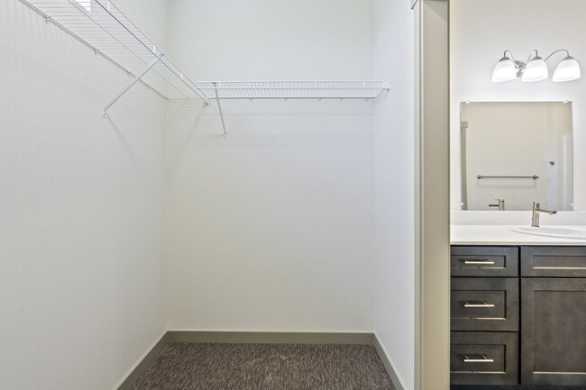 Extra Large Closet Space