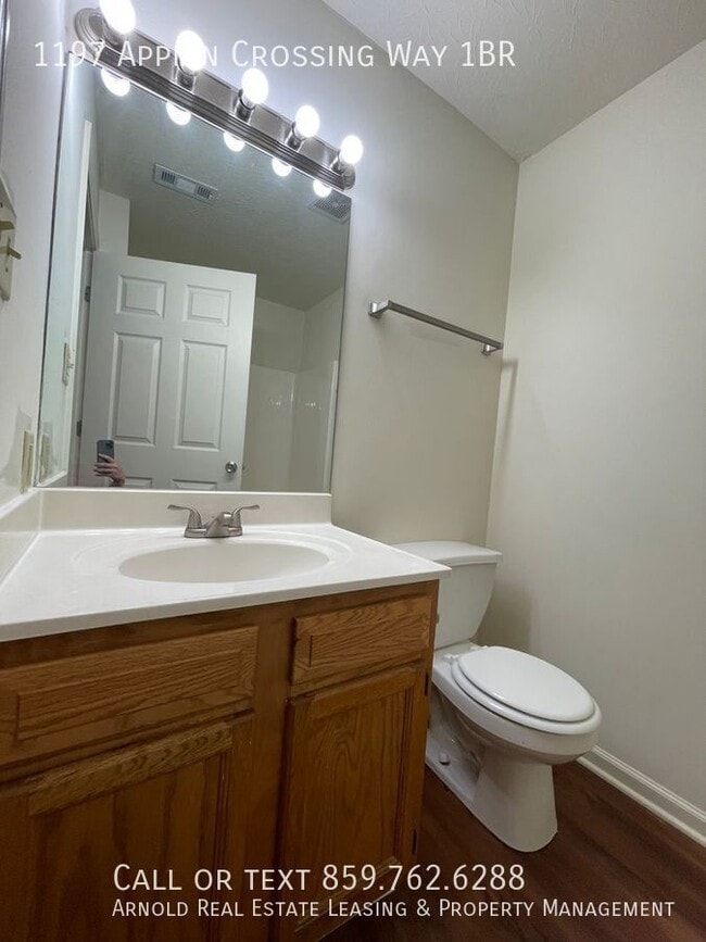 1197 Appian Crossing Way