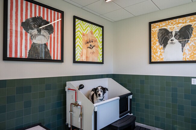 Dog Spa - The Apartments at Cold Brook Crossing