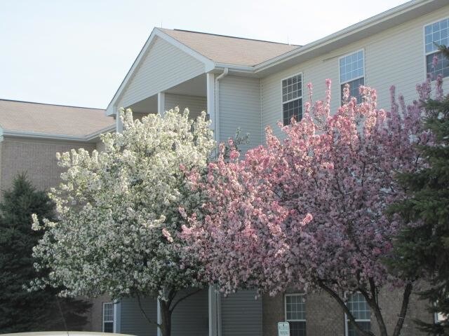 Anderson Farms Apartments