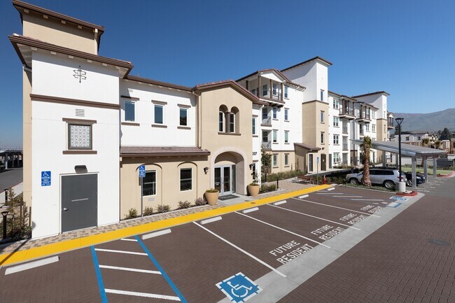 Palmia, Age 55+ Luxury Apartments