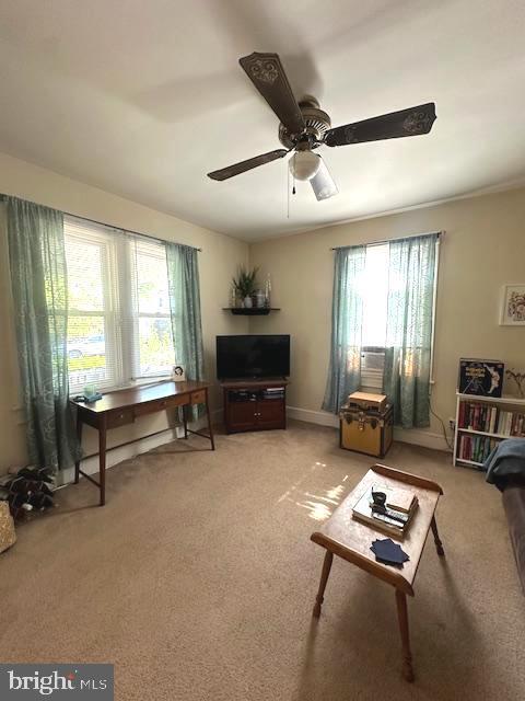 Building Photo - 803 Wolfe St