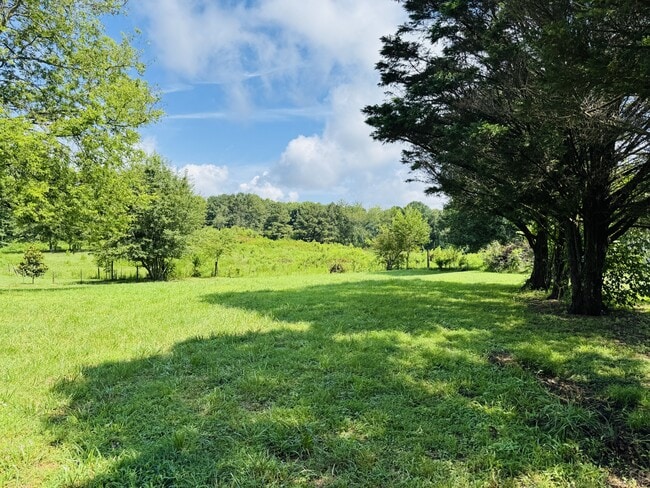 Photo - 7542 Section Line Rd