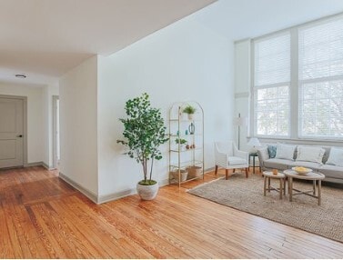 Photo - The Bluebird