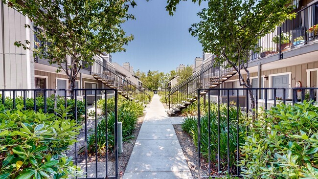 Building Photo - Cambridge Square Apartments