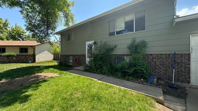 Photo - Great House In Fort Collins