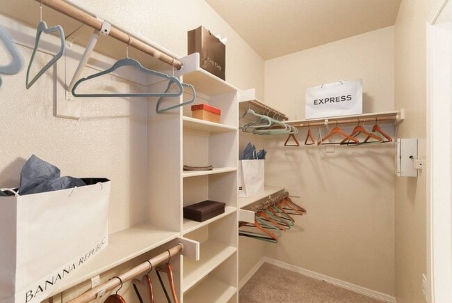 Closet with Built-Ins