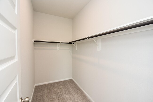 Building Photo - 8319 Bristlecone Pne Wy