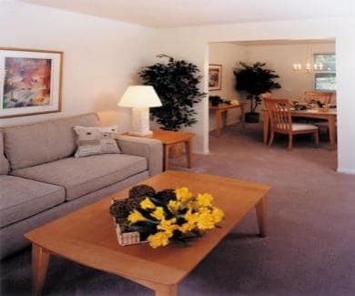 Living Area - Pine Grove Townhomes