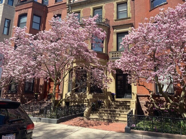 Photo - 213 Commonwealth Ave Apartamento Unidad 10