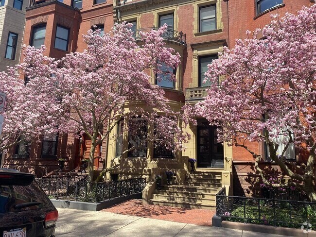 Building Photo - 213 Commonwealth Ave Unit 10 Rental