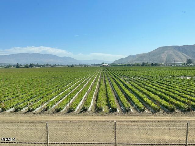 Photo - 913 Shell Rd