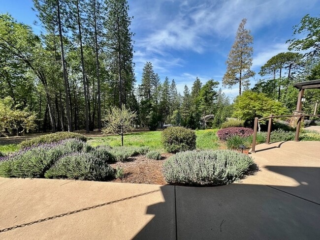 Photo - 10359 Buffington Ct