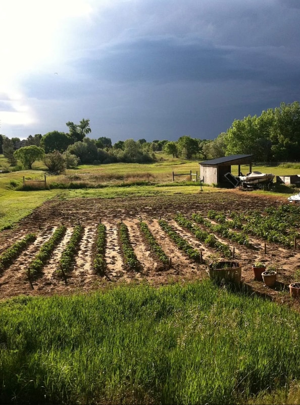 Photo - 2636 Terry Lake Rd