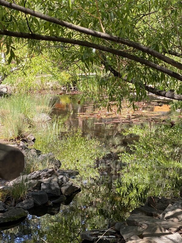 Photo - 61301 Benham Rd