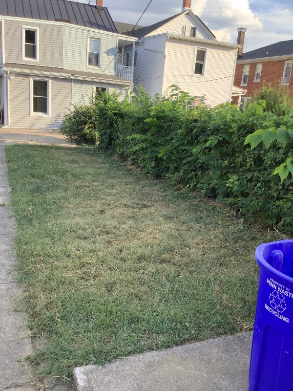 Photo - 407 Herman Ave