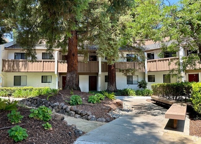 Building Photo - Beautiful Santa Clara Condo  Two Bedrooms ... Unit 1401