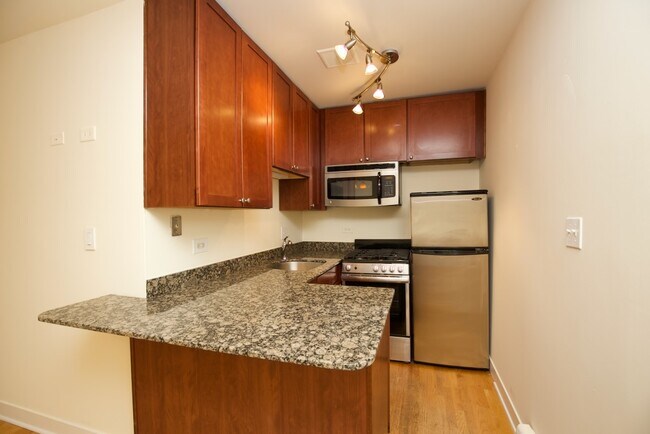 675 W Wrightwood Ave Unit 205