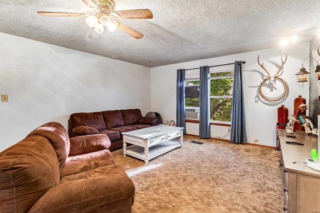 Photo - 288 Ballard St