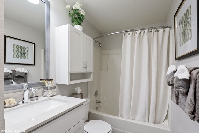 Undermount Sink, Framed Mirror, Curved Shower Rod