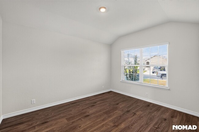 268 Squacco Heron