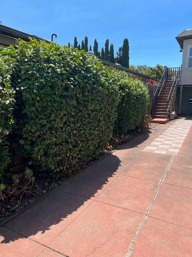 Photo - 1279 California Dr