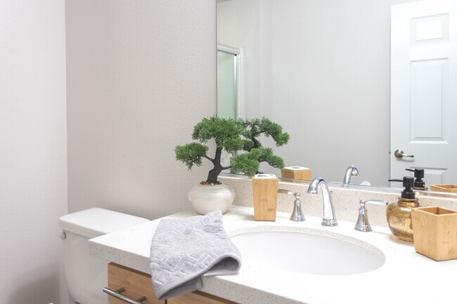 2BR, 2BA-1313 SF