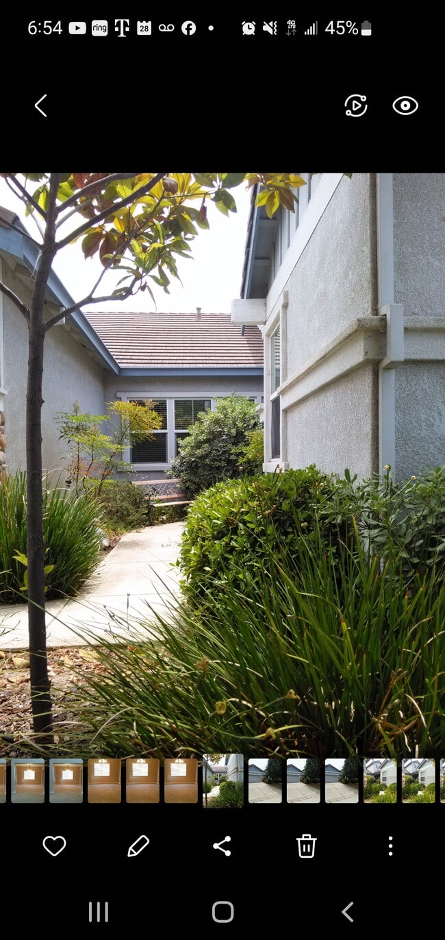 Photo - 1368 Night Heron St