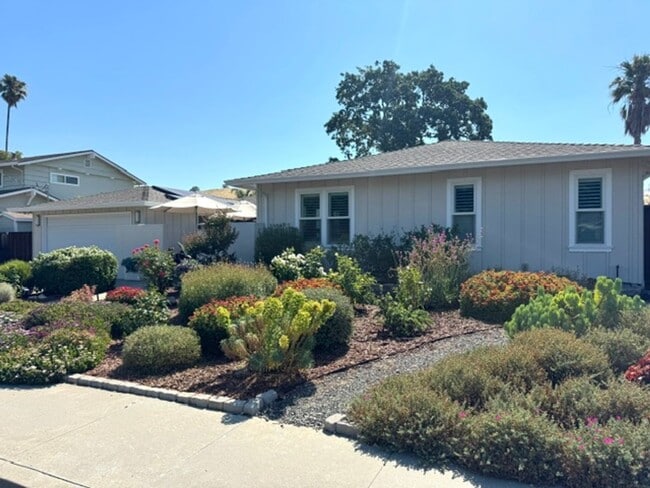 Photo - Beautiful 3 bedroom, 2 bath single level home in the Woodlands-Walnut Creek